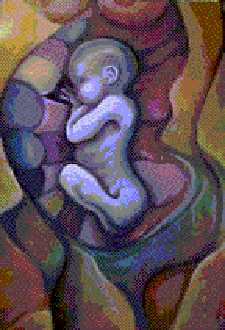Baby in the Womb