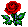 Roses 4 U