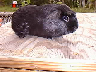 Amiras Mictlantecutli