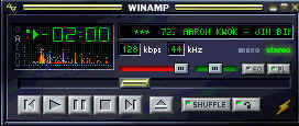 winamp10.jpg (8081 bytes)