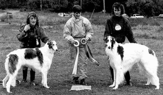 Photo: Pirjo Hostikka-Vuokare