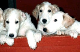 Photo: Hanna Virtanen