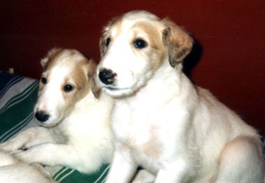 Photo: Paula Tiittanen