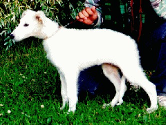 Photo: Leena H�rk�nen