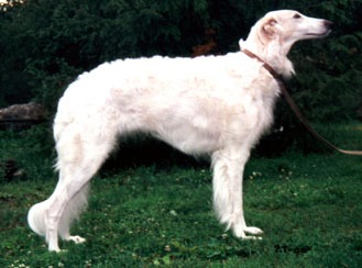 Photo: Paula Tiittanen