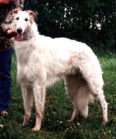 Photo: Paula Tiittanen