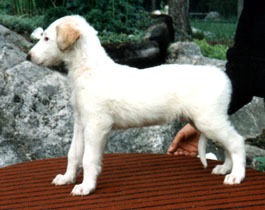 Photo: Hanna Virtanen