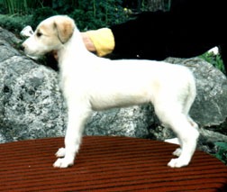 Photo: Hanna Virtanen