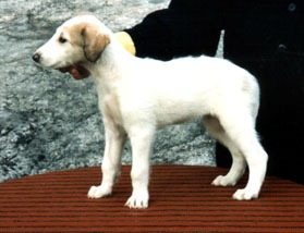 Photo: Hanna Virtanen