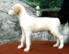 Photo: Hanna Virtanen