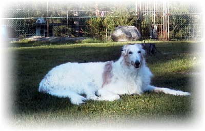 Photo: Lasse �hslund