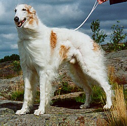 Photo: Paula Tiittanen