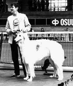 Photo: Pirjo Hostikka-Vuokare