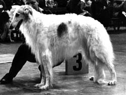 Photo: Pirjo Hostikka-Vuokare