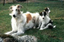 Photo: Paula Tiittanen