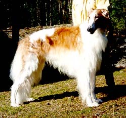 Photo: Paula Tiittanen