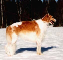 Photo: Paula Tiittanen