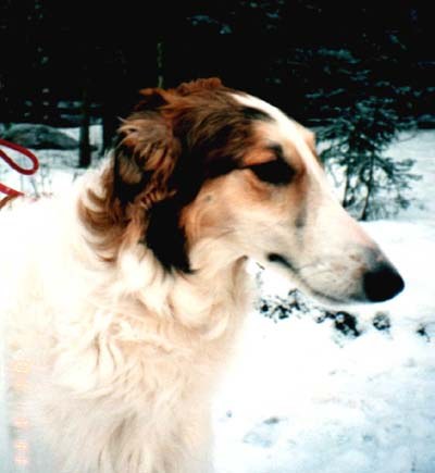 Photo: P. S�derholm