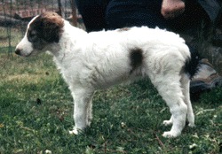 Photo: Paula Tiittanen