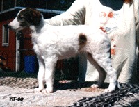 Photo: Paula Tiittanen