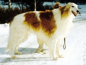 Photo: M. Ik�heimonen