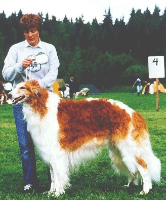 Photo: Pirjo Hostikka-Vuokare