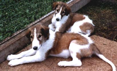 Photo: I. Vartama-Tuominen