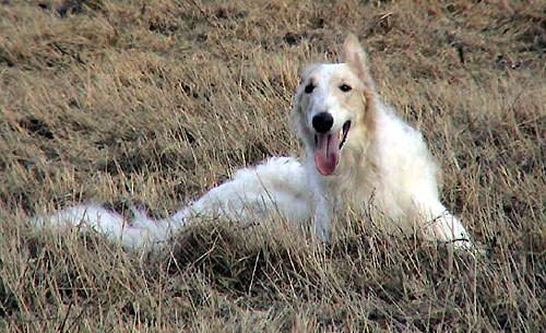 Photo: K. von Zansen