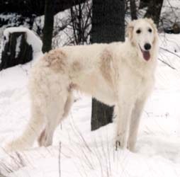 Photo: K. v. Zantsen