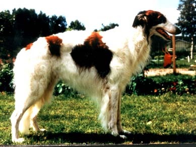 Photo: Marie El Boraie