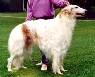 Photo: Seija Tallgren