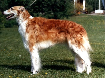 Photo: Inkeri Vartama-Tuominen