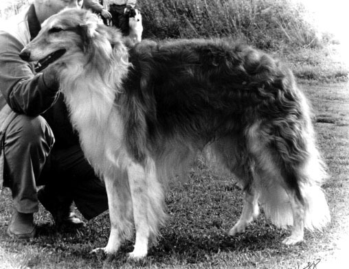 Photo: Pirjo Hostikka-Vuokare