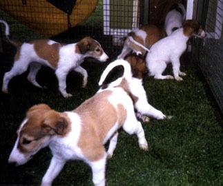 Photo: Inkeri Vartama-Tuominen