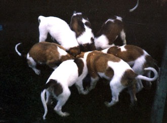 Photo: Inkeri Vartama-Tuominen