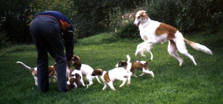 Photo: Inkeri Vartama-Tuominen