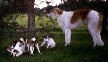 Photo: Inkeri Vartama-Tuominen