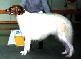 Photo: Esa H�m�l�inen