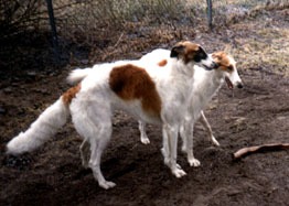 Photo: Hanna Virtanen