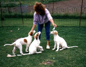 Photo: Hanna Virtanen