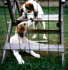 Photo: Hanna Virtanen