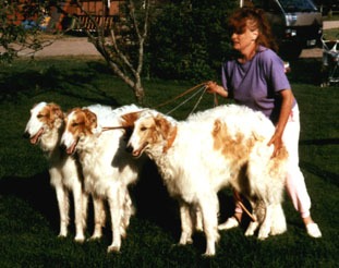 Photo: Hanna Virtanen