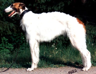 Photo: Marie El Boraie