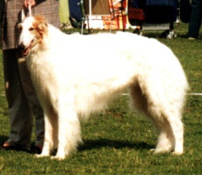 Photo: Inkeri Vartama-Tuominen