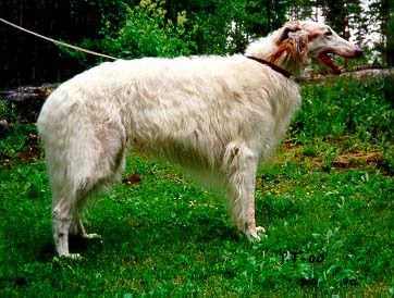 Photo: Paula Tiittanen