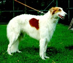 Photo: Hanna Virtanen