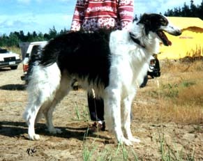 Photo: Paula Tiittanen