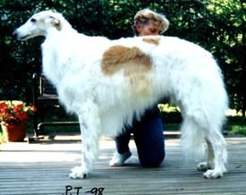 Photo: Paula Tiittanen