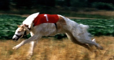 Photo: Marjo Ik�-Heimonen