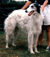 Photo: Paula Tiittanen